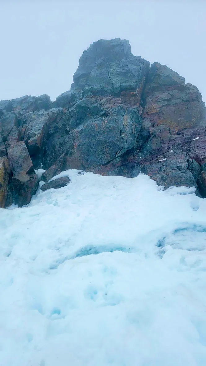 From The Good Rain - Blue Glacier and Mount Olympus