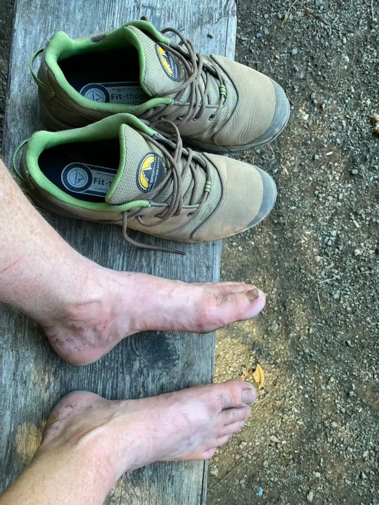 From Goat Lake Trail and my First Foray into the PNW Wilderness