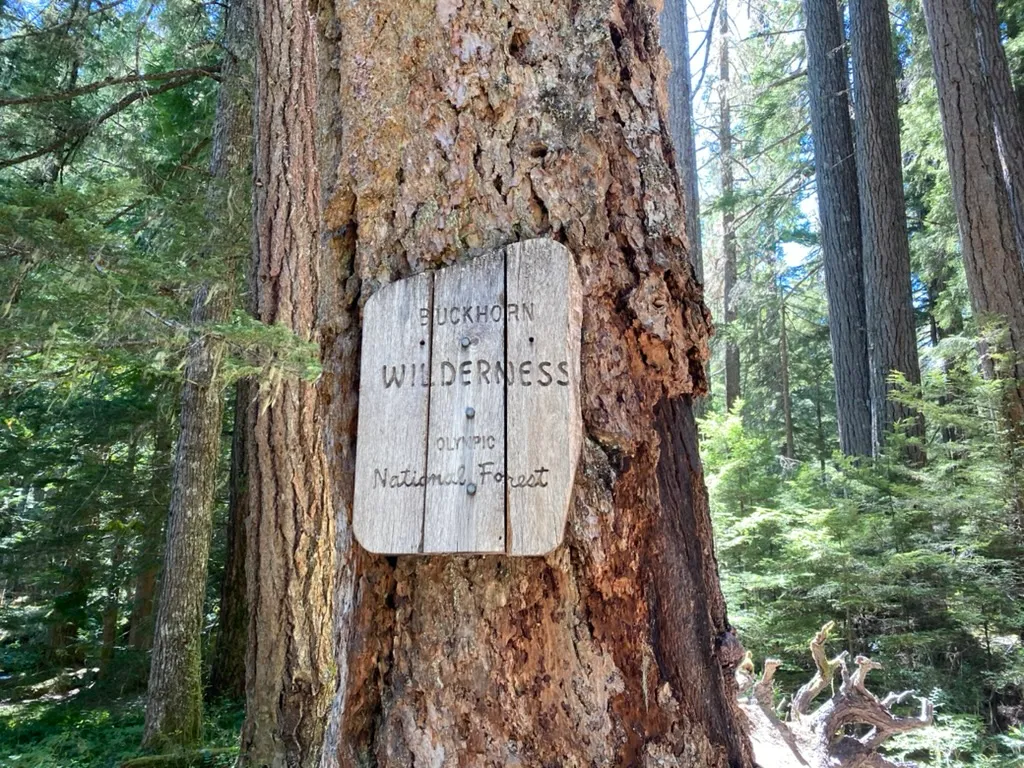 From Goat Lake Trail and my First Foray into the PNW Wilderness